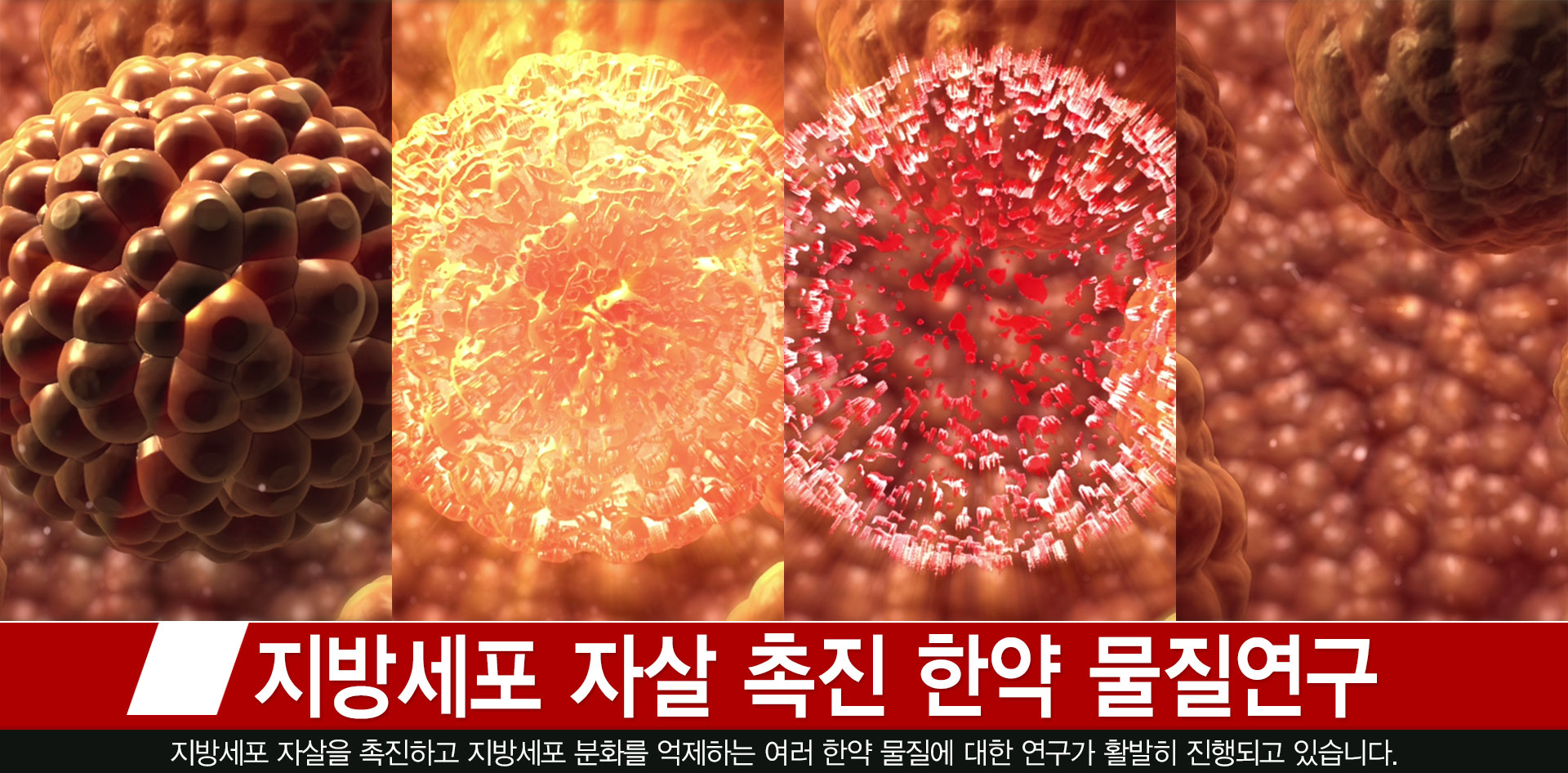 강남탑한의원 메인 비주얼 이미지 입니다.
